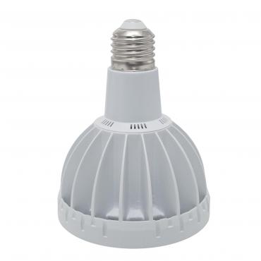 Lampadina E27 PAR30 led 35W