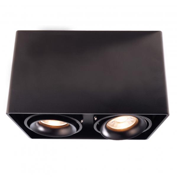 Faretto nero da soffitto doppio LED