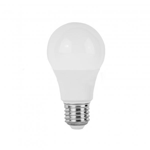 Lampadina LED 10W